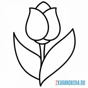 Раскраска красивый тюльпан онлайн