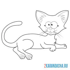 Раскраска кот ушастик онлайн