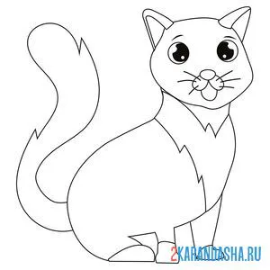Раскраска кот с улицы онлайн