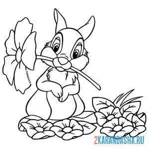 Распечатать раскраску кролик с цветами на А4