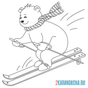 Распечатать раскраску медведь на лыжах на А4