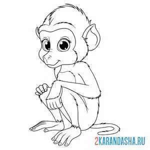Распечатать раскраску милая обезьянка на А4