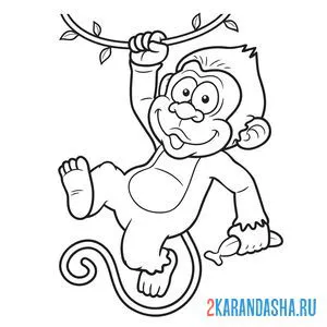 Распечатать раскраску обезьянка на лиане на А4