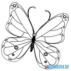 Распечатать раскраску красивая бабочка на А4