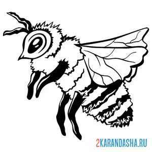 Раскраска пчела как настоящая онлайн