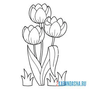Раскраска три цветка тюльпаны онлайн