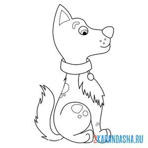Раскраска послушная собака онлайн