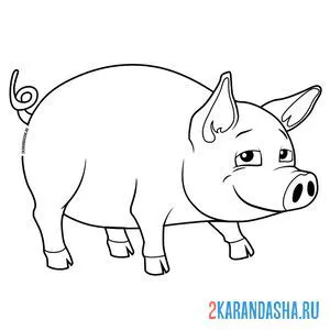 Раскраска свинья онлайн