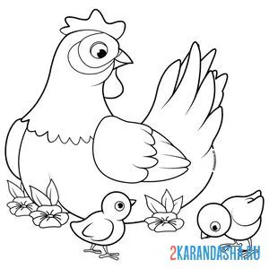 Распечатать раскраску мама курица и цыплята на А4