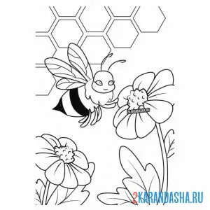 Раскраска пчелка собирает нектар с ромашки онлайн