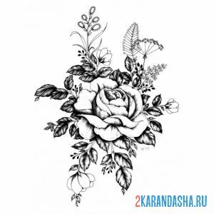 Раскраска красивая роза онлайн