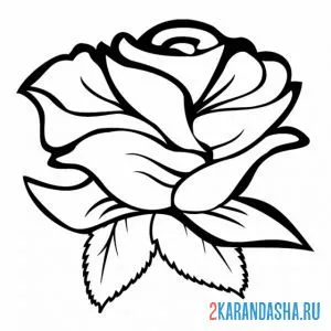 Раскраска бутон розы онлайн