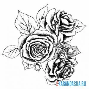 Раскраска душистые розы онлайн