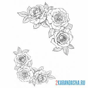 Раскраска розы в уголках онлайн