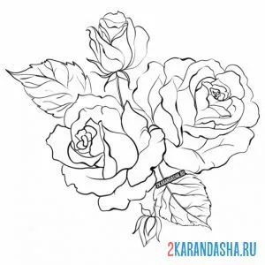 Раскраска розы расцвели онлайн