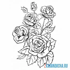 Раскраска роза кустовая онлайн