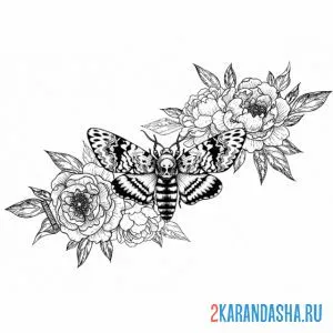 Раскраска роза и бабочка в них онлайн