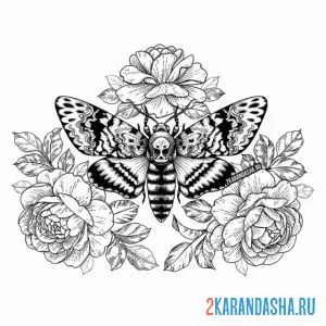 Раскраска бабочка в розах онлайн