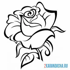Раскраска бутон шикарной розы онлайн