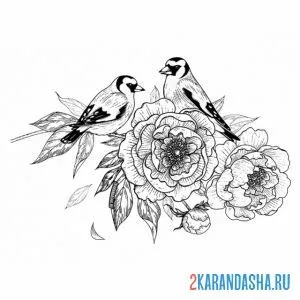 Раскраска птички на розах онлайн