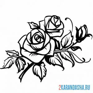 Раскраска цветущие розы стебель онлайн