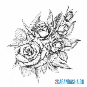 Раскраска много роз на ветке онлайн