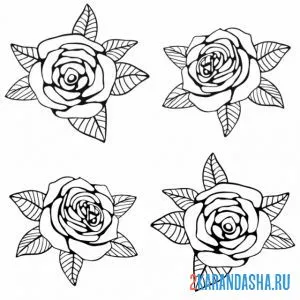 Раскраска 4 бутона розы онлайн