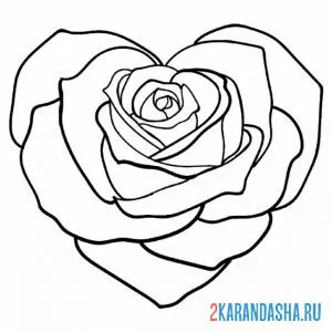 Распечатать раскраску роза в форме сердца на А4