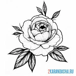 Раскраска большой бутон розы с листьями онлайн