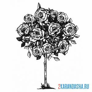 Раскраска дерево из роз онлайн