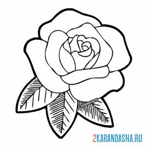 Раскраска простой бутон розы онлайн