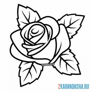 Раскраска красивый яркий бутон розы онлайн