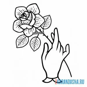Раскраска роза в руке онлайн