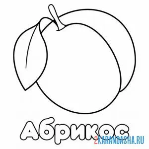 Раскраска абрикос с листочком онлайн