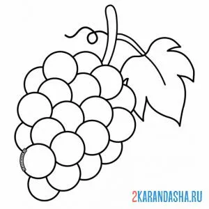 Раскраска гроздь винограда онлайн