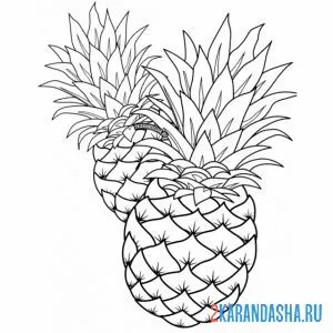 Раскраска два ананаса онлайн