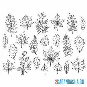 Раскраска сбор листьев онлайн