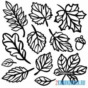 Раскраска листья сбор онлайн