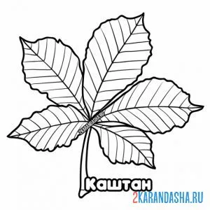 Раскраска листок каштана дерева онлайн