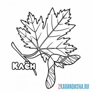 Онлайн раскраска кленовый лист осенний