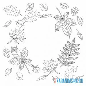 Раскраска листья по кругу онлайн