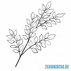 Раскраска веточка с красивыми листьями онлайн