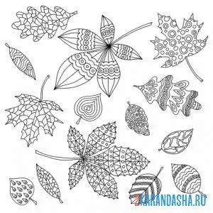 Раскраска узоры на разных листьях онлайн