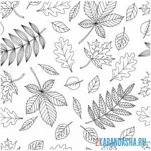 Раскраска листья рябины онлайн