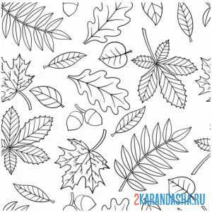 Раскраска листья рябины и клена онлайн