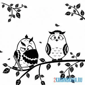 Раскраска две совы на ветке онлайн