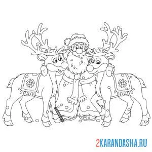 Раскраска дед мороз и два новогодних оленя онлайн