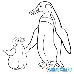 Раскраска мама пингвин и пингвиненок онлайн