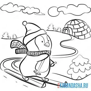 Раскраска пингвин лыжник онлайн