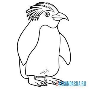 Раскраска пингвин императорский онлайн